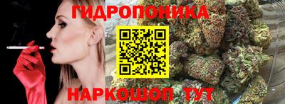 2c-b Обь